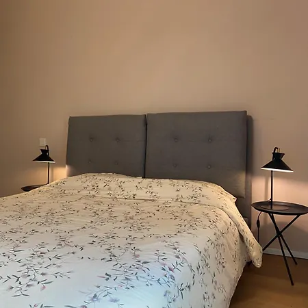 City Garden With Free Garage * Luxembourg