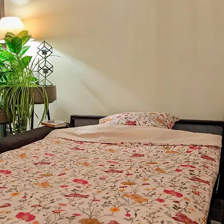 City Garden With Free Garage *